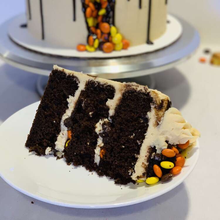 Chocolate Cake - slice cut