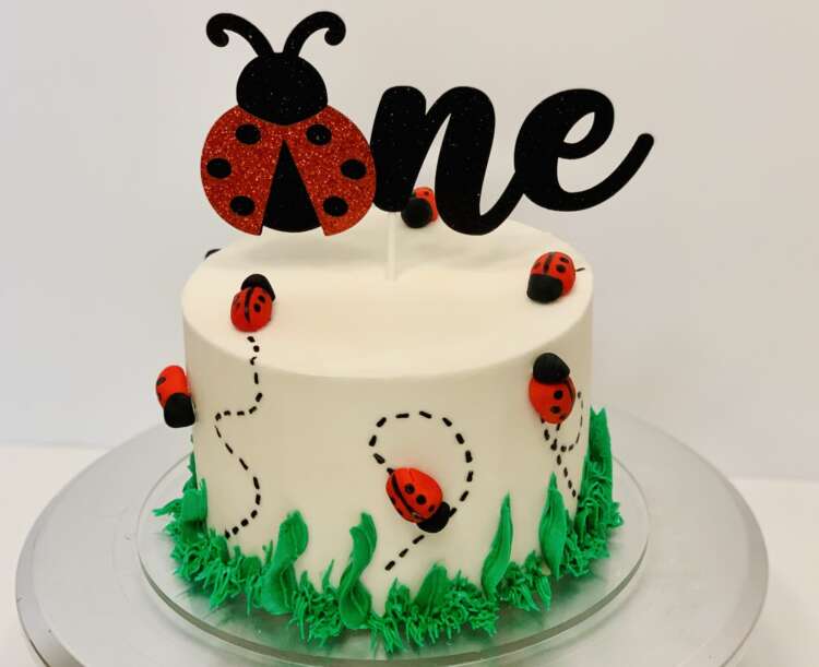 Ladybug smash cake, with 'One' ladybug cake topper and fondant ladybugs