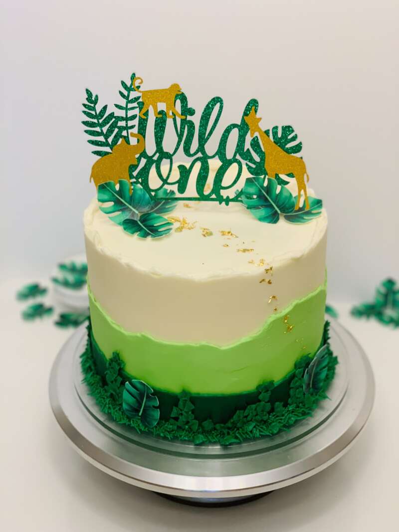 Wild One Smash Cake ~ Intensive Cake Unit