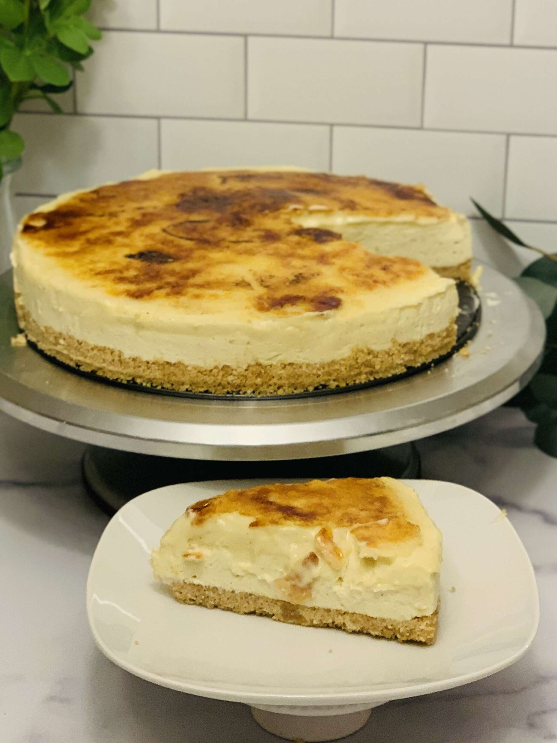 Creme Brulee Cheesecake; slice cut from cheesecake in foreground with remainder of cheesecake in background